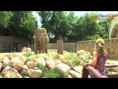 Budapest Zoo, Hungary – Unravel Travel TV