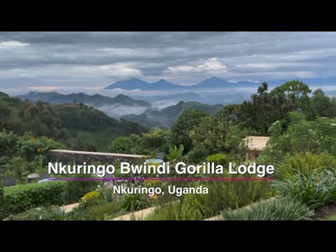 Nkuringo Bwindi Gorilla Lodge, Nkuringo, Uganda – Unravel Travel TV